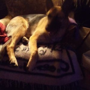 Meet your Posher, Celia